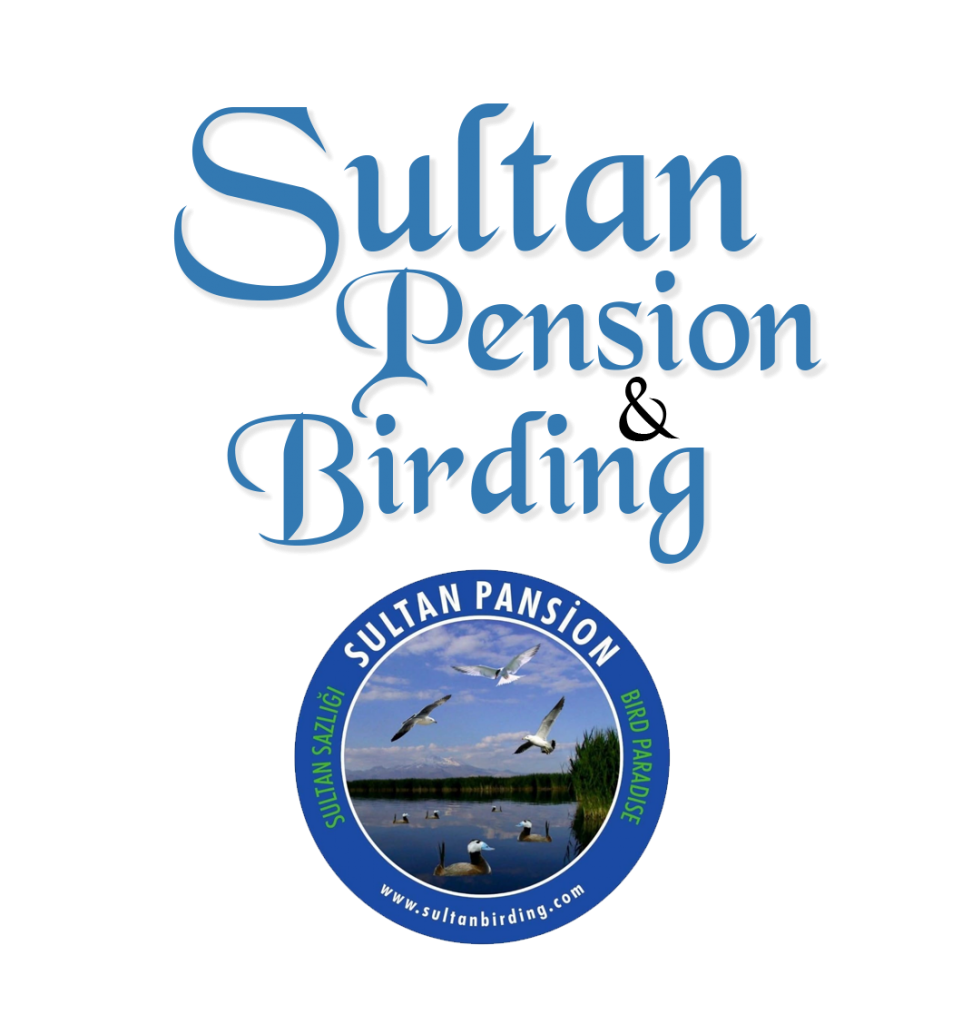 Bird Watching/Photography – Sultan Pension